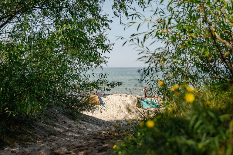 Others 5, Sloneczna Przystan, Kamień