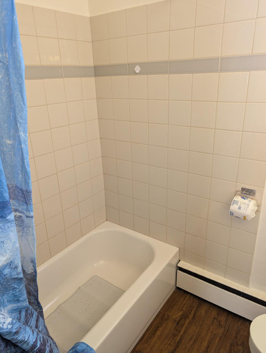 Bathroom 2, The Ohio Motel, Summit