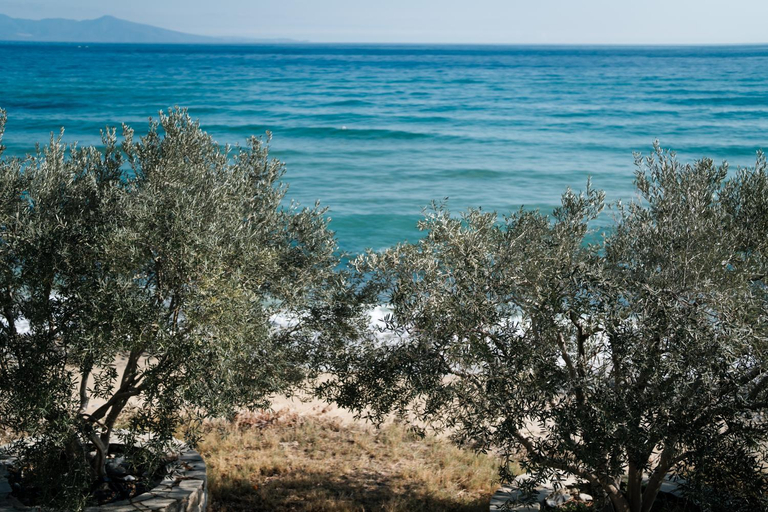 Others 4, Aegean View Villa, East Macedonia and Thrace