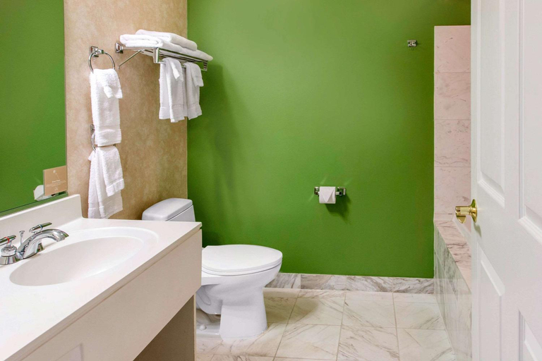 Bathroom 3, Sleep Inn & Suites Oregon - Toledo, Lucas