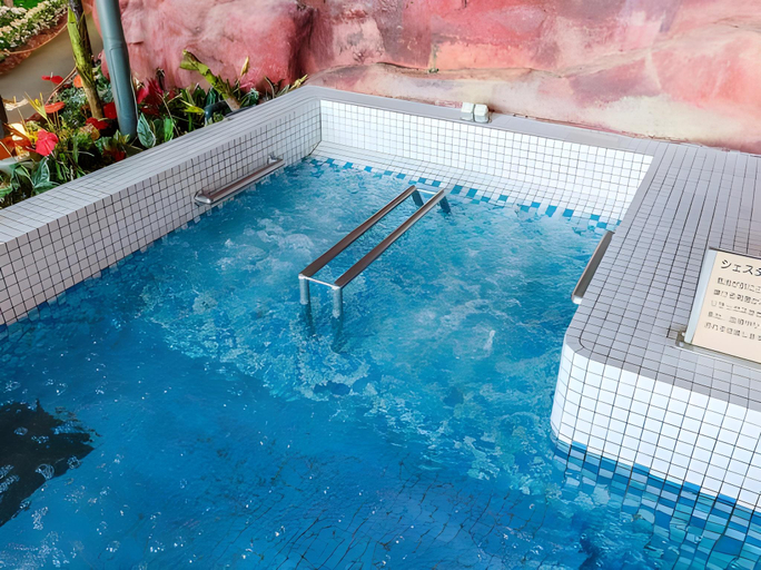 Sport & Beauty 5, Mikazuki Sea-Park Hotel Awa Kamogawa, Kamogawa