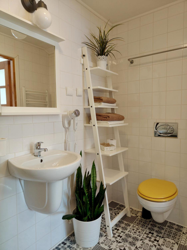Bathroom 2, Leonowka Bieszczady, Lesko