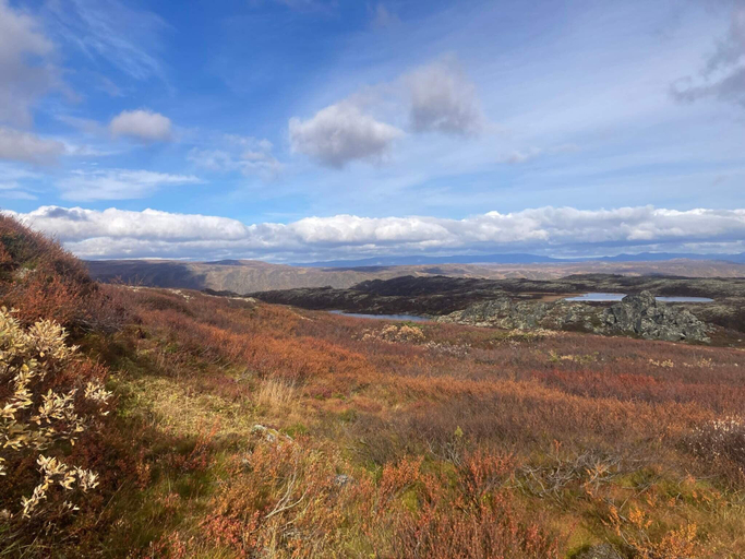 Others 3, person holiday home in GEILO-By Traum, Hol