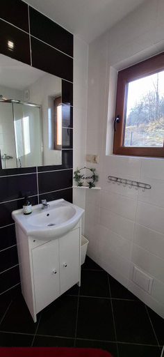 Bathroom 2, domki w pewelce, Żywiec