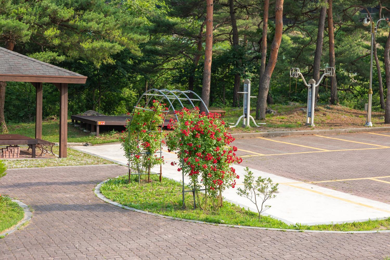 Others 5, Gangneung Yasaenghwa Maeul, Gangneung