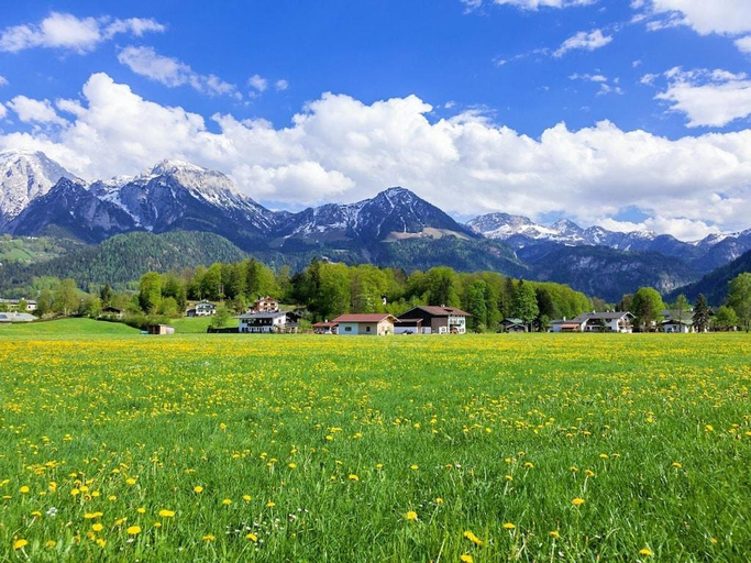 Others 3, Hahn -Kierngasshausl-, Berchtesgadener Land