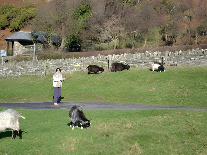 Others 3, The Sandrock, Devon
