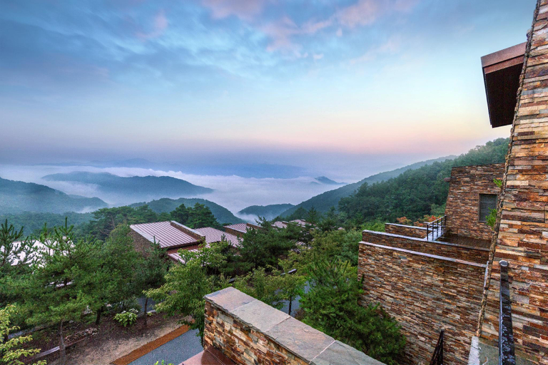 Others 5, RESTREE and FOREST RESOM, Wonju