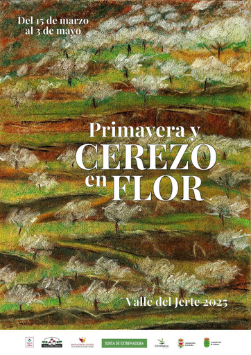 Others 4, Estudio con cocina y bano privado, Cáceres