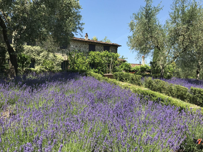 Exterior view 3, Macennere by Salogi Villas, Lucca