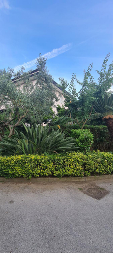 Others 5, Le Sale Resort, Caserta