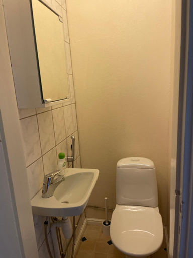 Bathroom 3, Honkaranta apartments, Satakunta