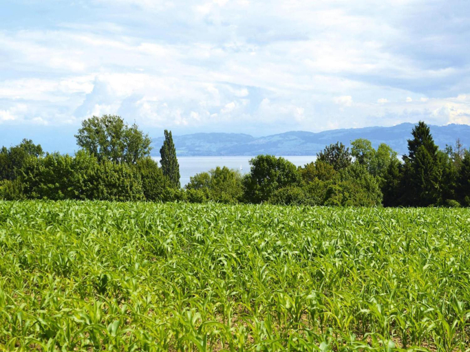 Surrounding environment 2, Chalet by Lake Constance With Alpine Views, Bodenseekreis