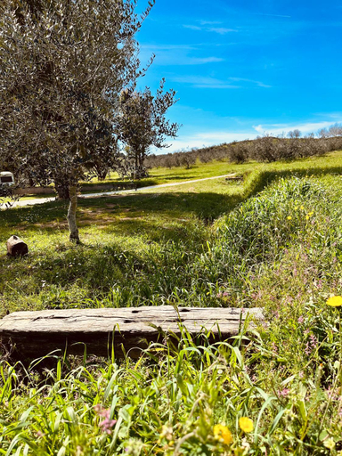 Surrounding environment 5, Agricampeggio La Piaggia - Agriturismo, Livorno