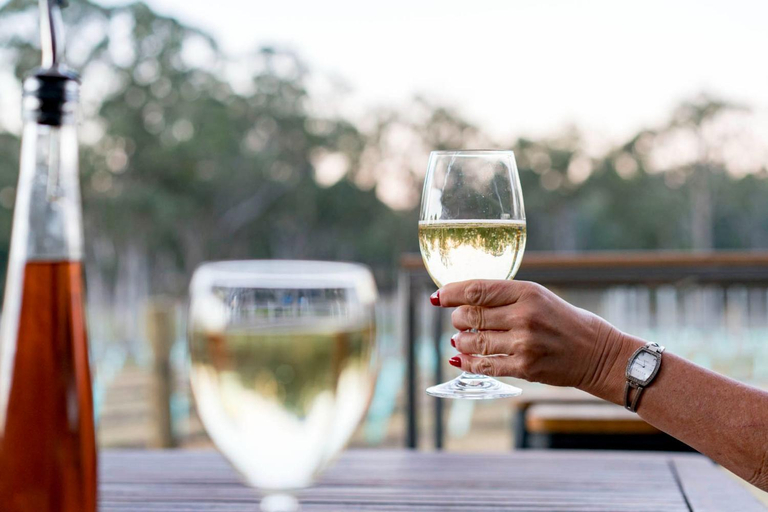 Food & Drinks, Ironbark Hill Villa 3 - Saperavi, Singleton