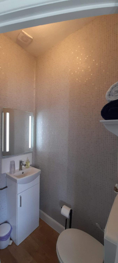 Bathroom 3, Saffron House Hotel, Devon