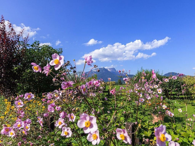 Others 5, Hahn -Kierngasshausl-, Berchtesgadener Land