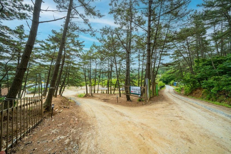 Others 5, Bakripo Badawa Padosori Camping pension, Taean