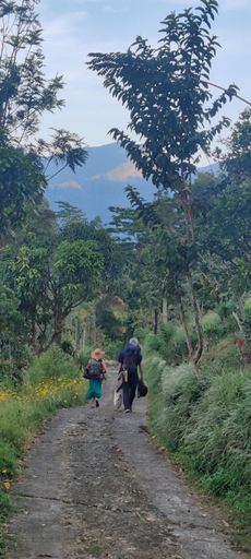 Others 3, Rohana Estate Lodging & Camping, Medadumbara