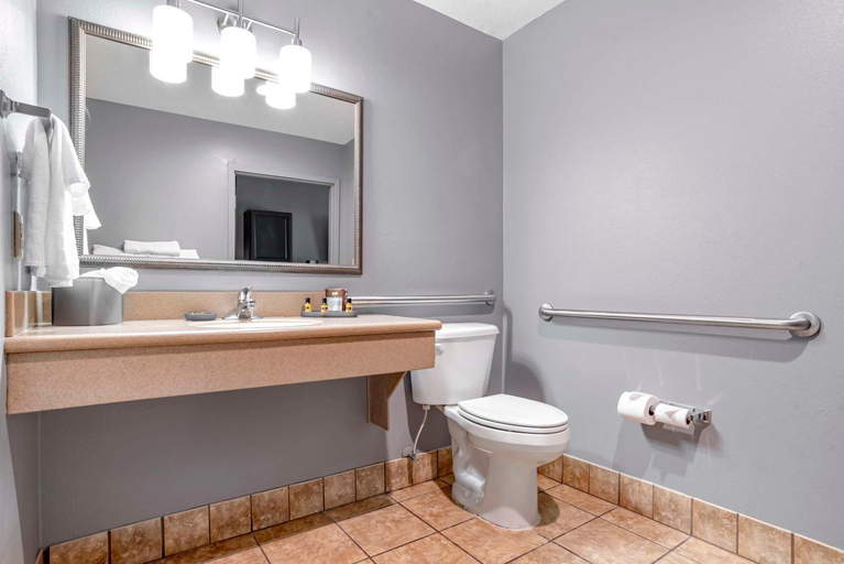 Bathroom, Best Western Plus Two Rivers Hotel & Suites, Marengo