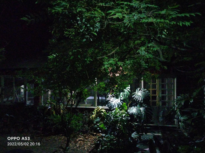 Others 4, The Jungle Bungalow #Bella Finestra, Kangra
