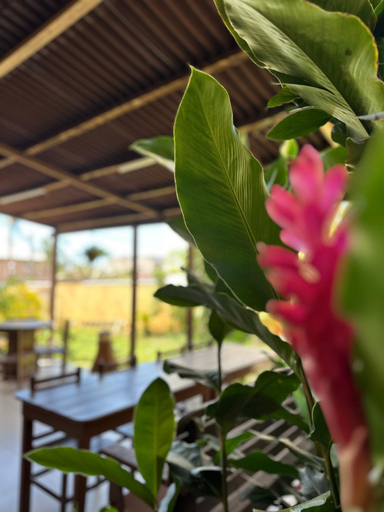 Food & Drinks, Suites do Pero, Cabo Frio