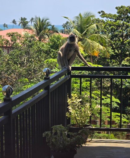 Others 4, Adithya Seaview Villa - Tangalle, Tangalle