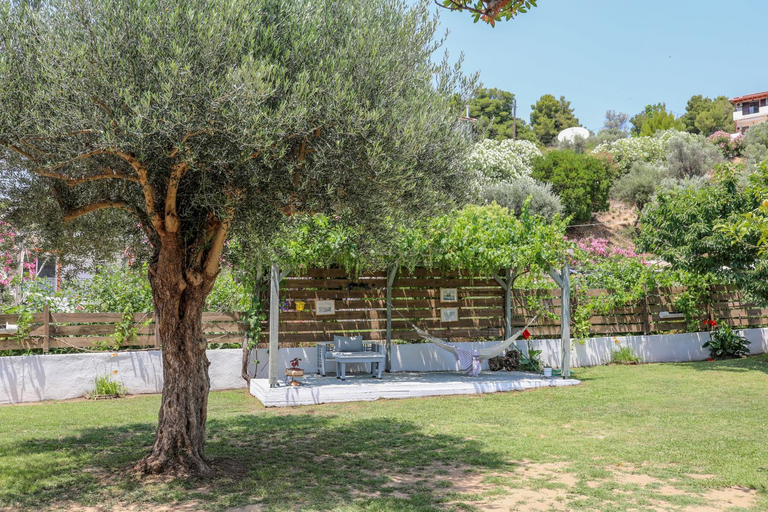 Others 5, VILLA ROSA, Thessaly