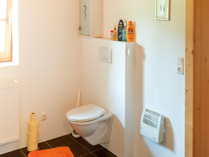 Bathroom 3, Chalet Schwarzenberg near Ski Lift  Stream, Rohrbach im Mühlkreis