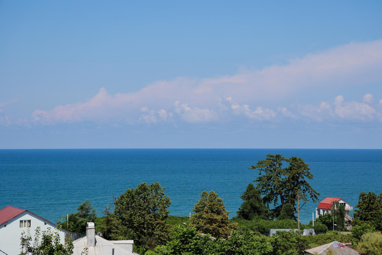 Surrounding environment 3, Villa Harmony, Kobuleti