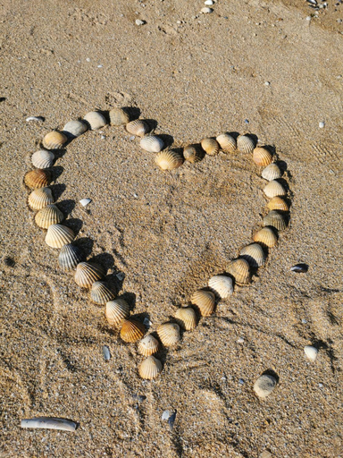 4, Deliv'Love, Calvados