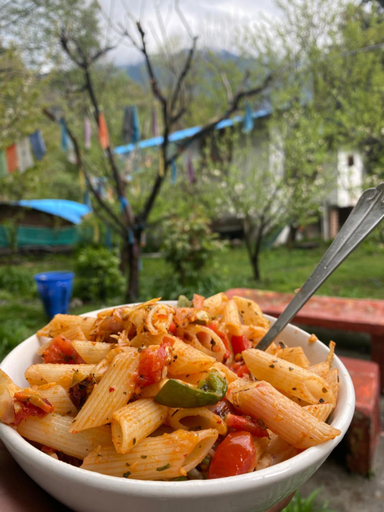 Others 4, Rockway hostel, Kullu