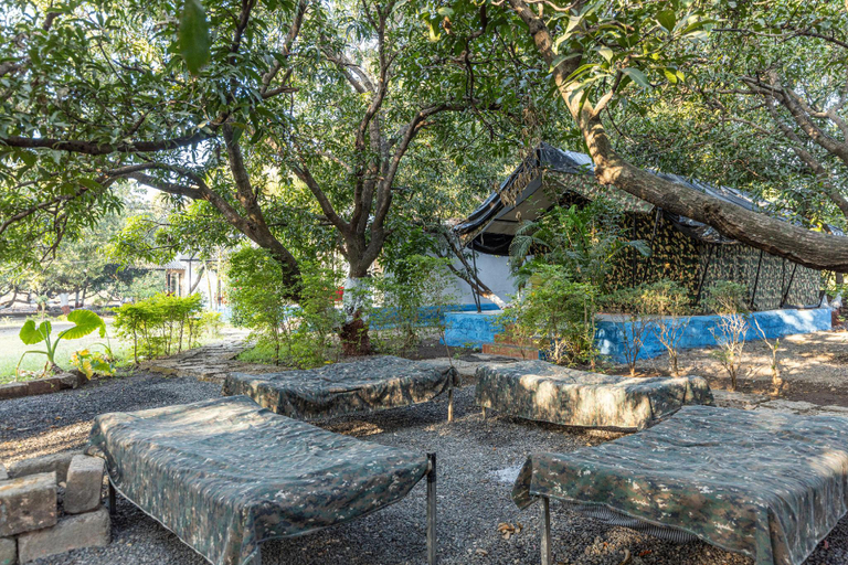 Exterior & Views 1, Gir County Resort, Gir Somnath