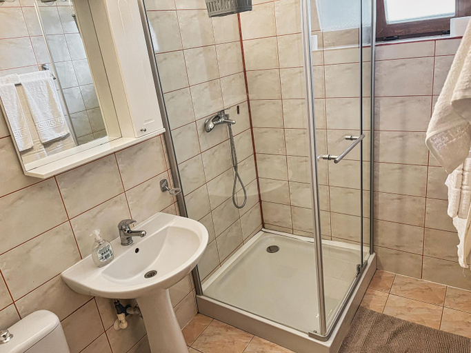 Bathroom 5, Pensiunea CRISAN, Crisan