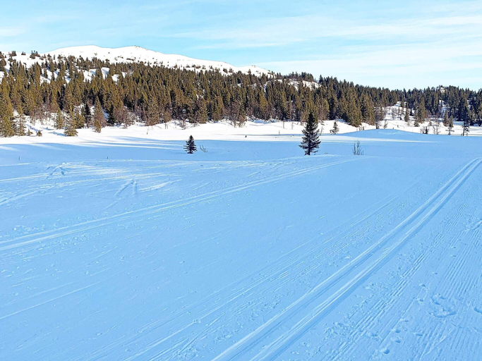 Others 4, person holiday home in Aurdal, Nord-Aurdal