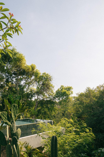 Surrounding environment