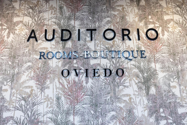 Others 5, Auditorio Rooms Boutique Oviedo, Asturias