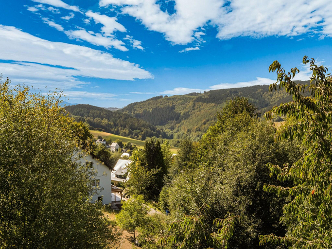 Others 4, Ferienhaus in Willingen nahe Skigebiet, Waldeck-Frankenberg