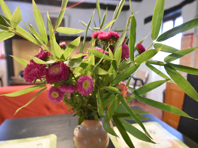 Food & Drinks, Romantic Cottage, Berbiguieres, Dordogne