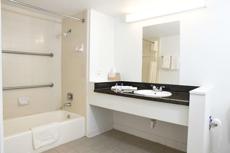 Bathroom 3, Regency Inn, East Baton Rouge