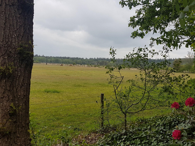 Others 5, Restful Holiday Home in Lemele, Ommen