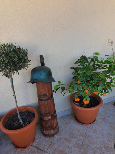 Others 2, Alexandros Guesthouse, Central Macedonia
