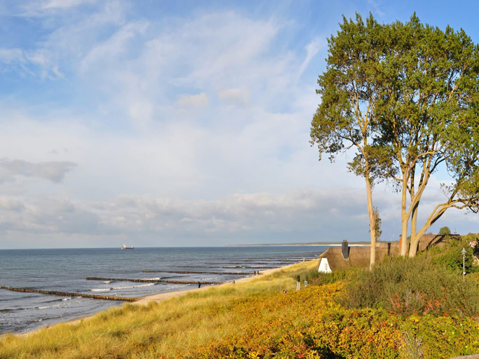 Others 5, Ferienwohnung, Zingst, Vorpommern-Rügen