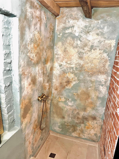 Bathroom 2, Beduin Vila, Busteni
