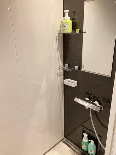 Bathroom 2, 香川のゲストハウスFDroom, Takamatsu