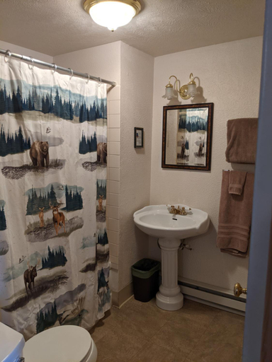 Bathroom 3, Daven Haven Lodge & Cabins, Grand