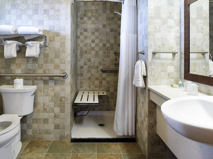 Bathroom 3, Skyland Resort, Page