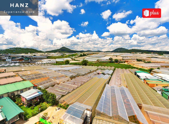 Others 5, HANZ 262 Tyche CityLoft, Đà Lạt