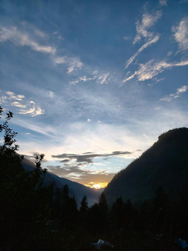 Others 5, Jingle Jungle, Kullu
