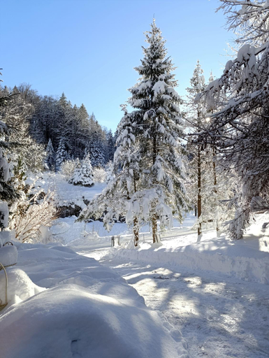 Others 5, Ferienhaus Barschwendi, Obwalden